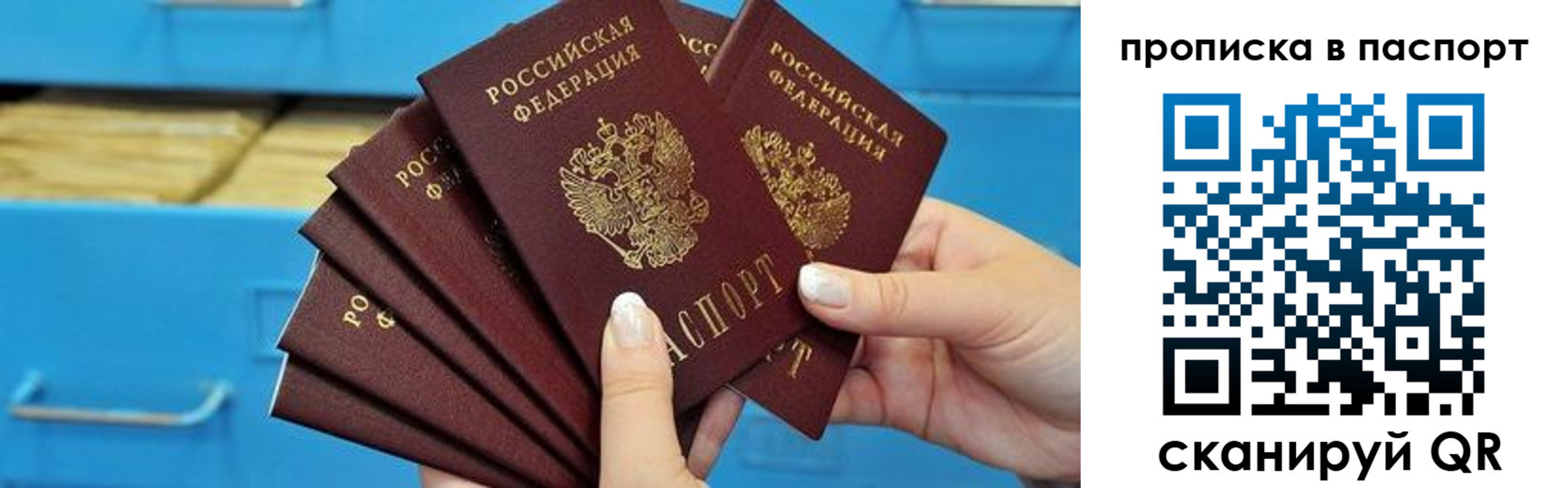 найти адрес прописки в Александровске